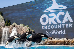 SeaWorld San Diego Vacation